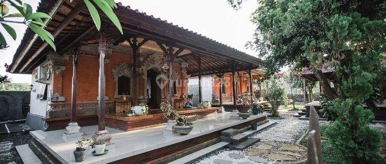 Private Villa Stle Bali Dibantayuh Marge Tabanan Bali  1