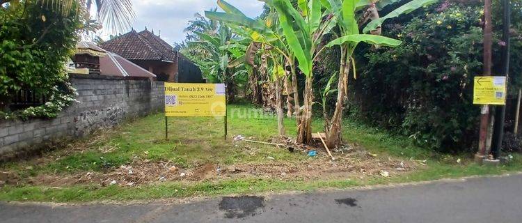 Tanah 3 Are Dijual di Kaliasem Singaraja 1