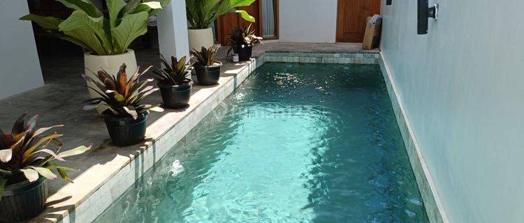 For Rent Villa Ropis With Pool Near Taman Rama School Jimbaran 1