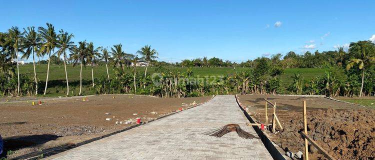 Dijual Tanah Murah Puri Indah di Tabanan 1