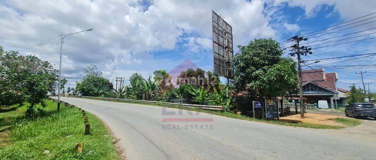 Tanah Siap Untuk Usaha Daeng Menambon Mempawah Kalimantan Barat 1