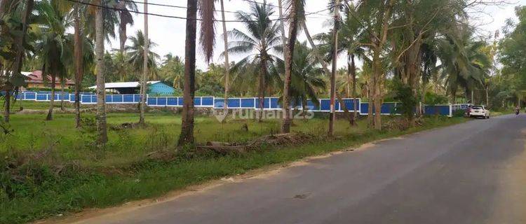 Dijual Murah Strategis Tanah Datar Siap Bangun Sawarna Bayah Banten 1