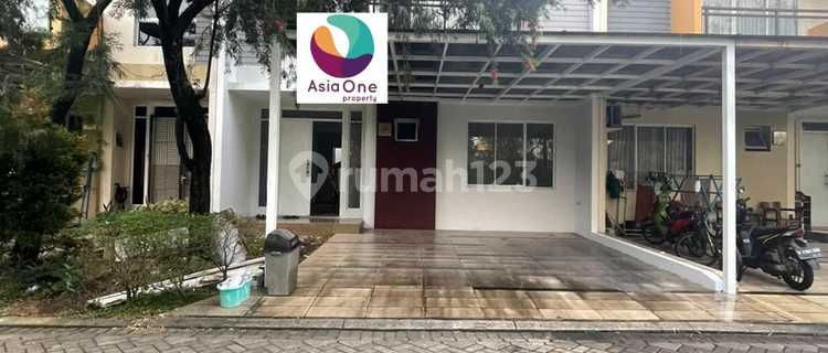 Disewakan Rumah Cantik Luas Siaphuni di Perumahan Lotus Garden 1