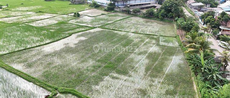 Tanah dijual di kragilan serang banten 1