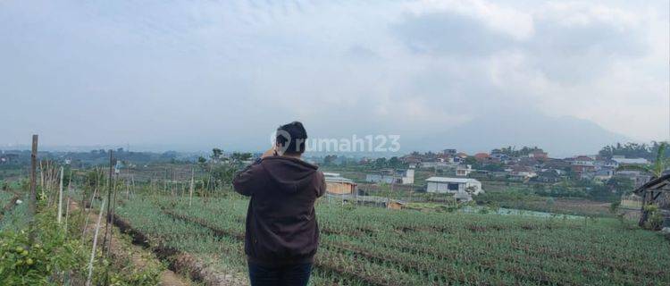 Tanah Murah Luas View Pegunungan Pemandangan Alam di Batu 1