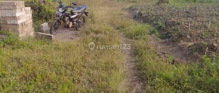 Tanah Kavling Murah Siap Bangun Strategis di Bululawang Malang  1