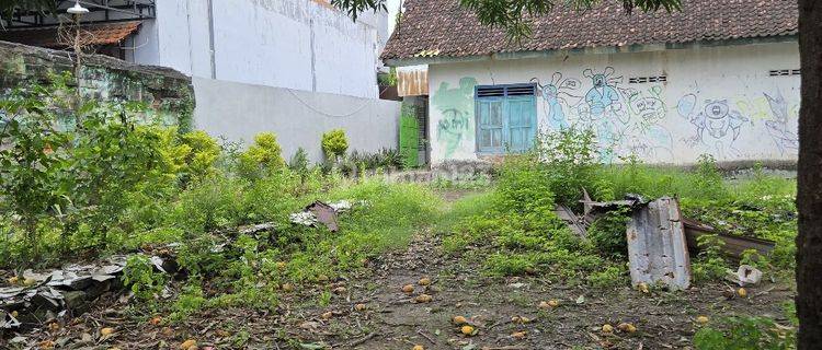 Tanah Luas Strategis Cocok Untuk Usaha Inves di Madiun 1