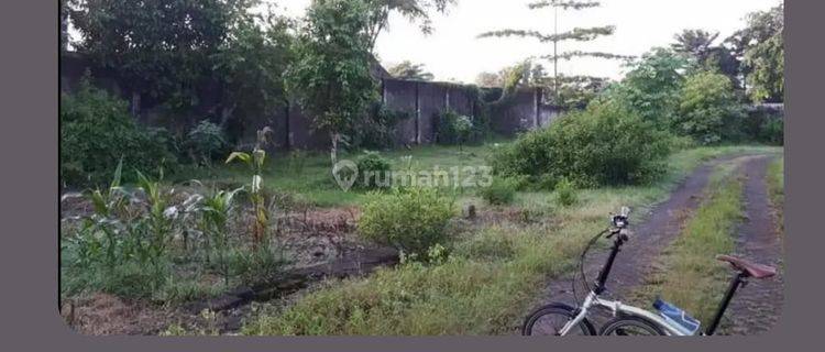 Tanah Kavling Luas Dan Murah Siap Bangun Lokasi di Jember 1