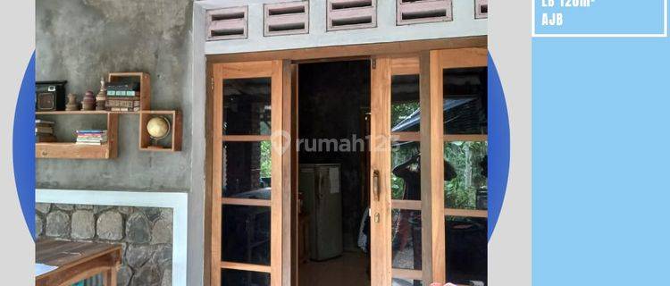 Rumah Luas Plus Kebun Strategis di Kasembon Malang  1