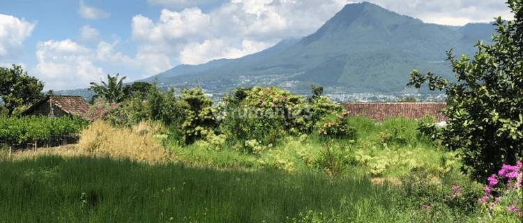 Tanah Dataran Tinggi Subur Udara Sejuk View Sempurna Di Kota Batu 1