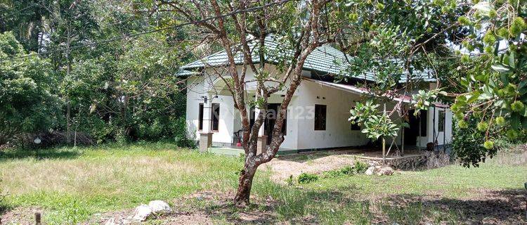 Rumah Murah Siap Huni Nyaman Lokasi di Simpur Kalimantan Selatan 1