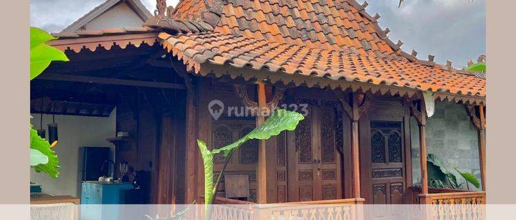 Rumah Vila Sederhana Minimalis Harga Istimew Di Gianyar Bali. 1