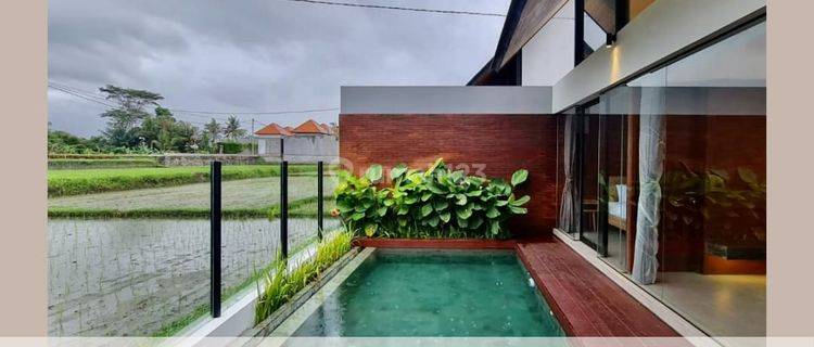 Sewa Rumah Siap Huni Furnish Plus Pool Suasana Asri Murah Di Bali 1