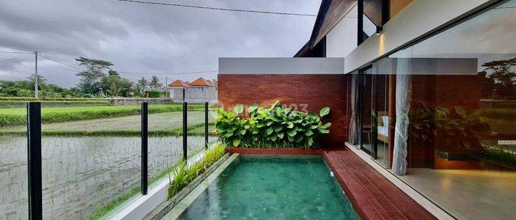 Sewa Rumah Vila Lengkap Furnished Harga Istimewa Di Gianyar Bali. 1