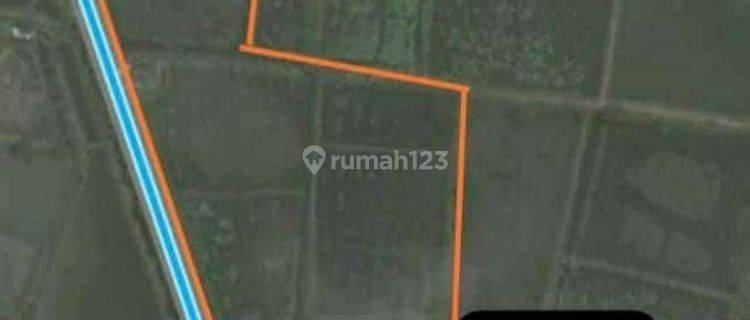 Dijual murah tanah sawah nol jalan ujung Pangkah Gresik  1