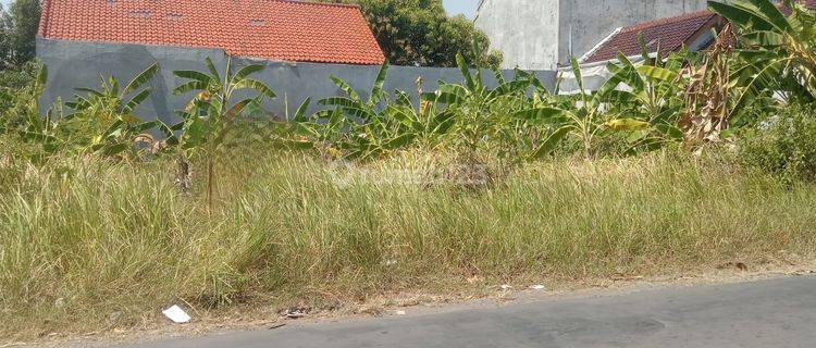 Tanah Kav Dekat Alun Alun Slawi Cocok Untuk Bangun Cafe Atau Rumah Tinggal 1