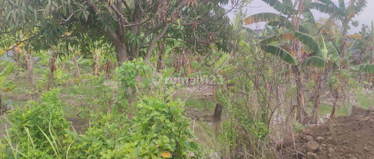 TANAH SHM BEBAS BANJIR DI JL TLOGOMULYO, BANGETAYU SEMARANG TIMUR  1