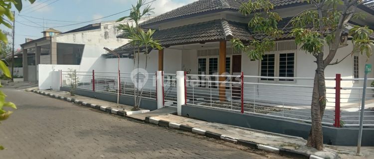 For Rent Spacious House In Puri Anjasmoro, West Semarang 1