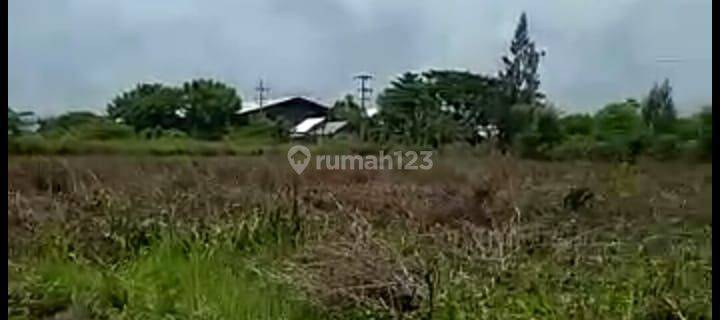 Tanah SHM Nol Jalan Raya, Zona Industri Widang, Tuban 1