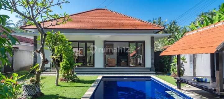 Buy 1 Get 2 Modern Minimalist Villa For Sale In Lovina 1