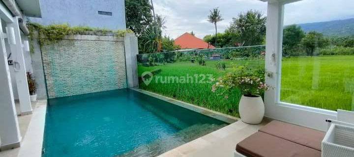 Charming Villa With Stunning Ricefield Views In Lovina For Sale 1