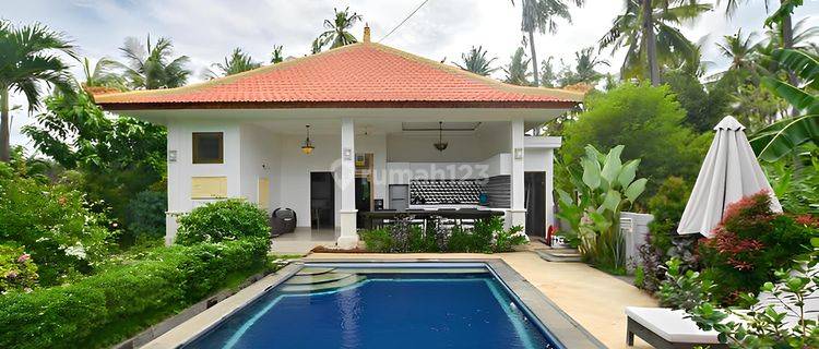 Tropical Modern Freehold Villa For Sale In Lovina 1