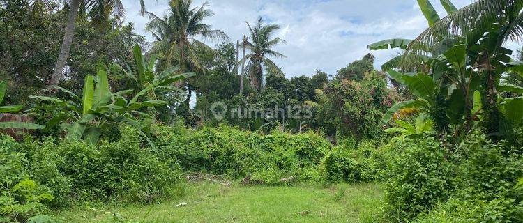 Budget Friendly - Expansive Land Opportunity Close To Lovina 1