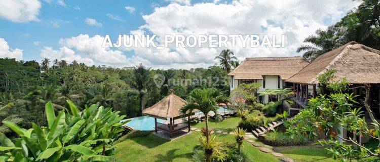 Vila Cantik View Sawah, Lembah & Gunung, Payangan Ubud 1