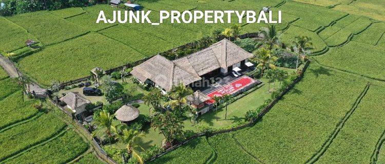 Vila Ditengah Sawah & View Gunung, Hanya 20 Menit Central Ubud 1