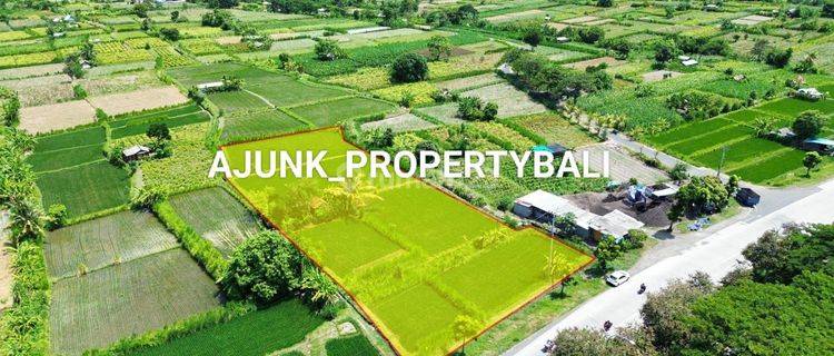 Tanah Premium View Sawah Jln Utama Bypass I.B Mantra, Klungkung 1