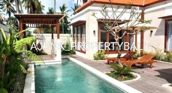 Vila Baru Style Tropis, 15 Menit Pison & 20 Menit Central Ubud 1