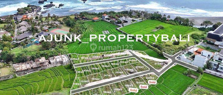 Rare, Land Plot with Sea & Rice Field View, at Cemagi Beach 1