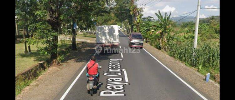 Rumah villa yang cantik ditengah kebun 1