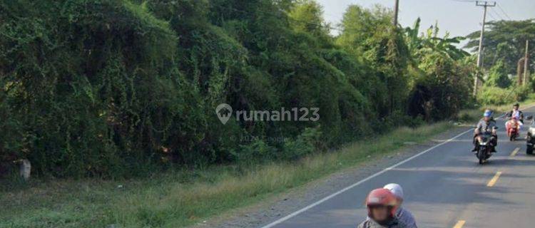 Dijual Cepat Tanah Industri Termurah Di Cikampek Karawang 1