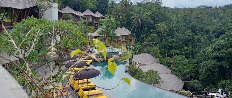 THE KENRAN RESORT TEGALLALANG UBUD VR 1