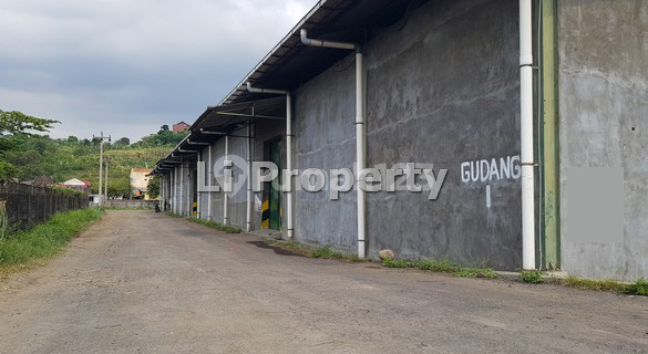 For Rent Warehouse Semarang Kendal, Tambakaji, Ngaliyan, 4200m2, Semarang 1