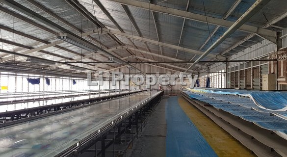 For Sale Warehouse Mangkang, Semarang Kendal, Pantura, Semarang 1