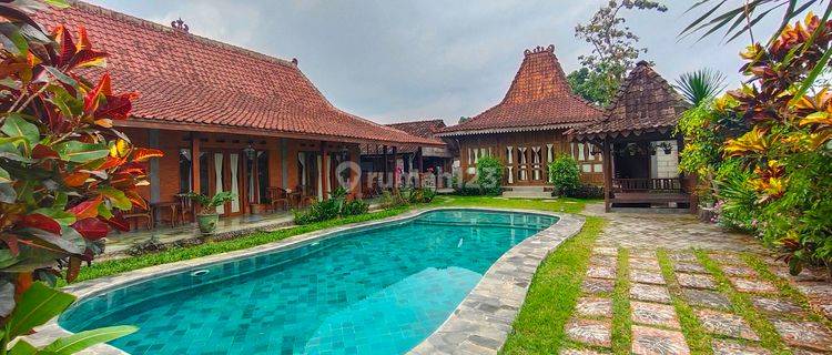 Rumah Joglo Klasik Cocok Buat Kantor Homestay 1