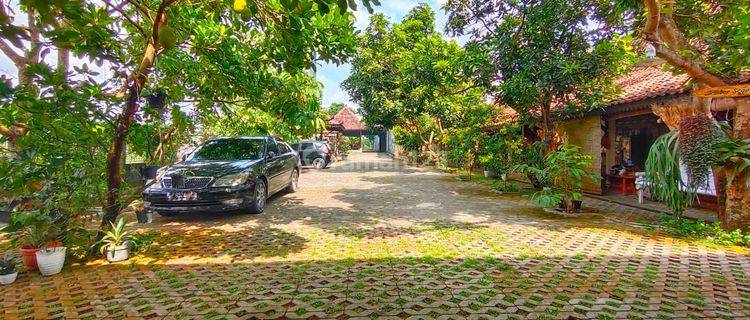 Homestay Klasik Full Furnished Tanah Luas Tepian Sawah 1