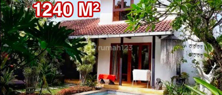 Homestay Tanah Luas Mantrijeron Kota Jogja 1