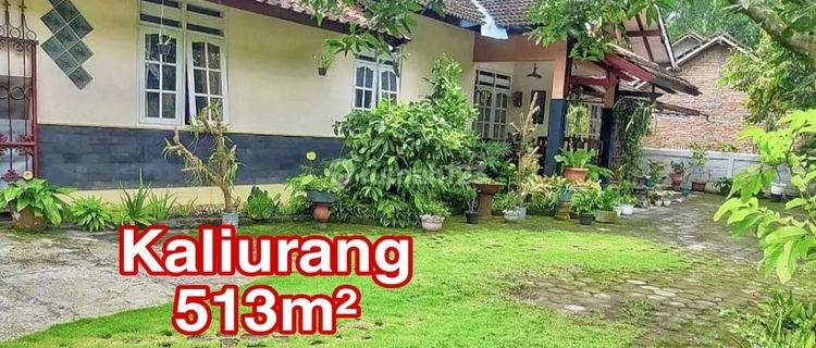 Rumah Jalan Kaliurang Tanah 500 Meter Udara Sejuk 1