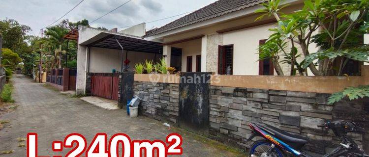 Rumah Tanah Luas Maguwoharjo 250 Kolam Ikan  1