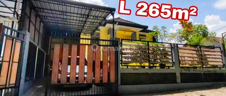 Rumah Tanah Luas Sleman 265 Meter Halaman Luas 1