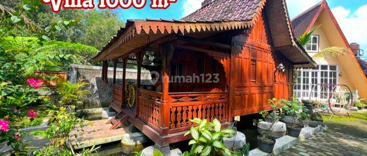 Villa Klasik Dijual Tanah Luas Cocok Untuk Menyepi 1