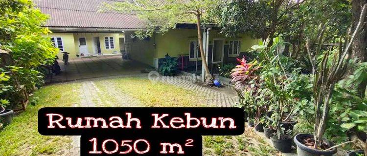 Rumah Dengan Luas 1000 Dalam Ring Road Selatan 1