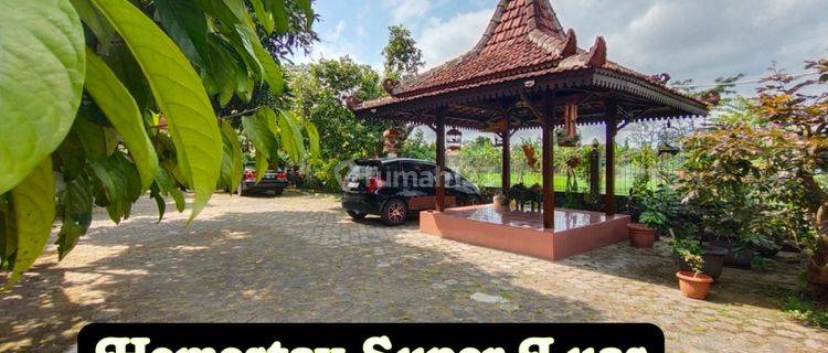 Villa Dijual View Persawahan Luas 1850 Meter 1