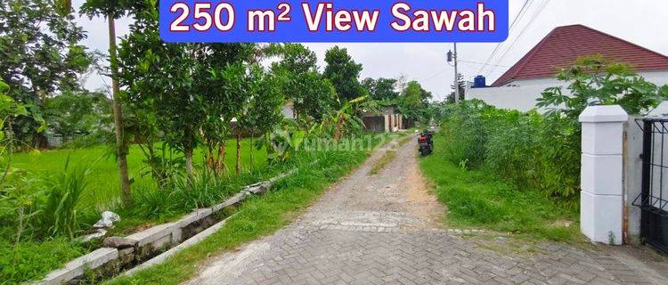 Jual Tanah Maguwo Luas 250 View Sawah Cantik 1