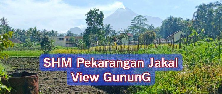 Tanah Kaliurang View Gunung Merapi Area Sejuk 1