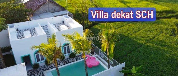 Villa Alam Persawahan Dekat Jalan Magelang 1