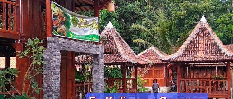 Rumah Klasik Ex Resto Luas 2000 Meter Sleman 1